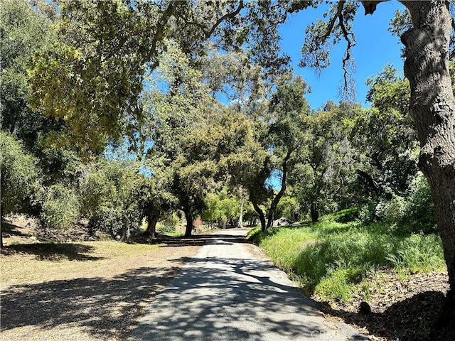 view of road