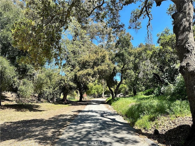 2835 Hermitage Rd, Ojai, CA 93023 - view of street