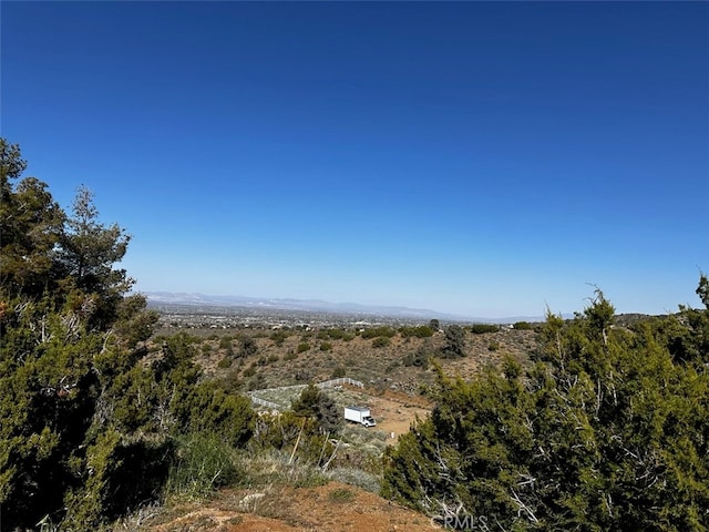 0 Silver Rock, Pinon Hills CA, 92372 land for sale