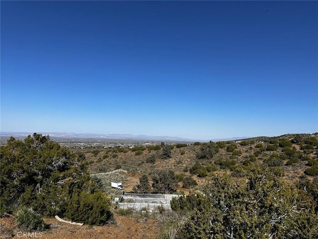 0 Silver Rock, Pinon Hills, CA 92372 - photo 3