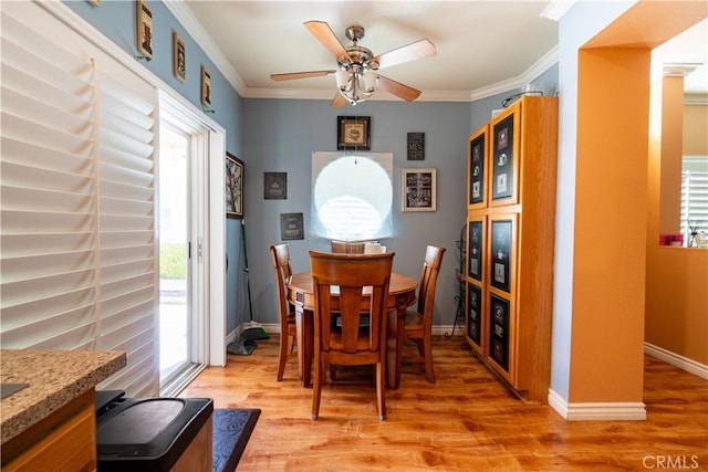 dining room with crown molding, ceiling fan, and light hardwood / wood-style floors