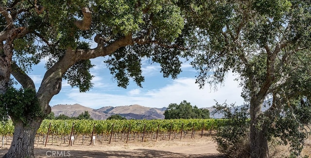 6893 Foxen Canyon Rd, Los Olivos CA, 93441 land for sale