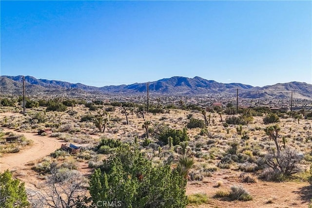 view of mountain feature