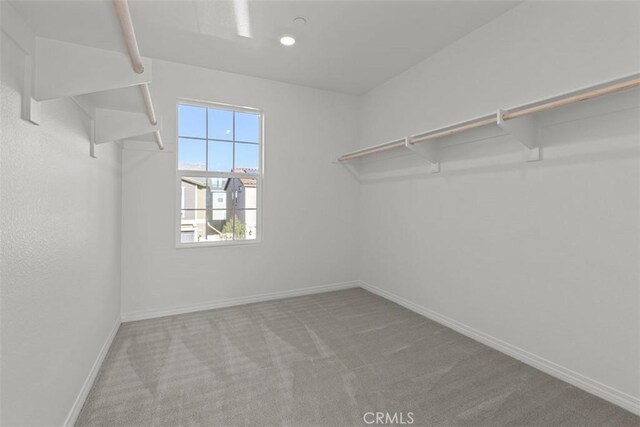 walk in closet with carpet