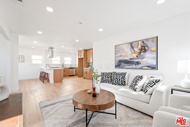 living room featuring light hardwood / wood-style flooring and sink