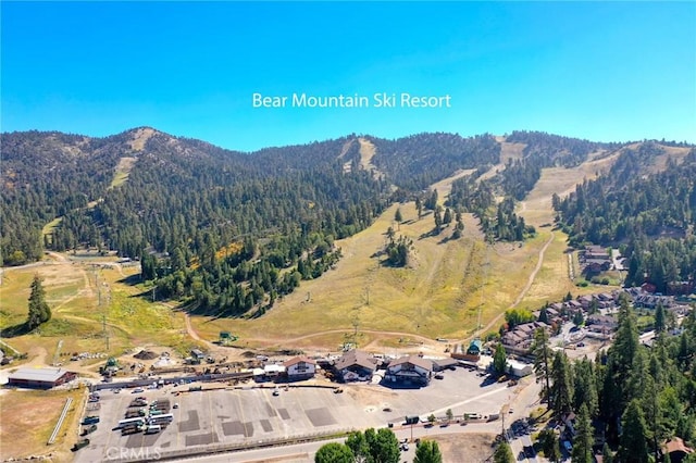 bird's eye view featuring a mountain view