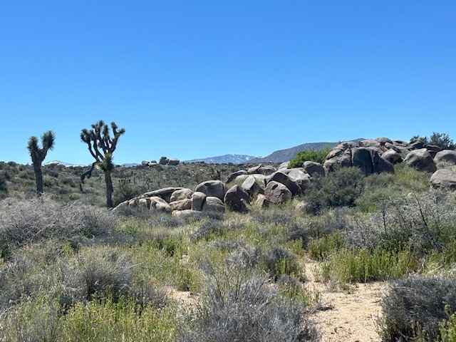 101 Hondo St, Pioneertown CA, 92268 land for sale