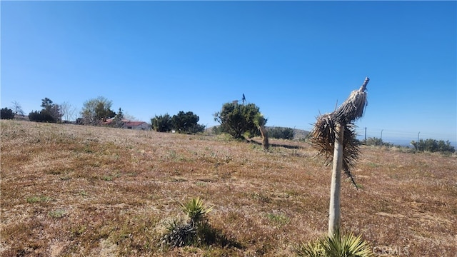 Listing photo 2 for 0 Longview Rd, Juniper Hills CA 93553