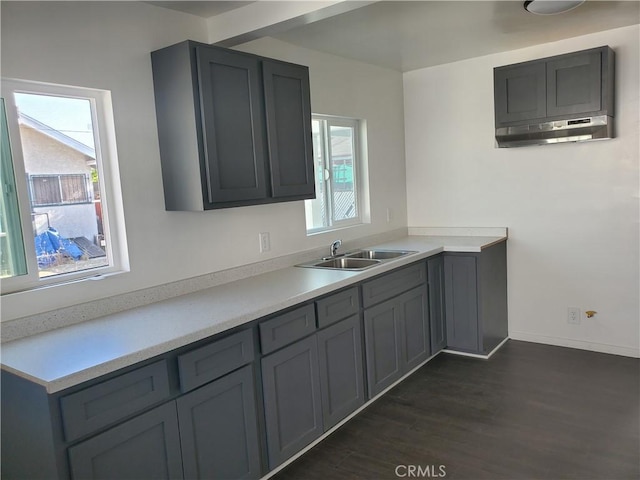 kitchen with gray cabinetry, a wealth of natural light, sink, and dark wood-type flooring