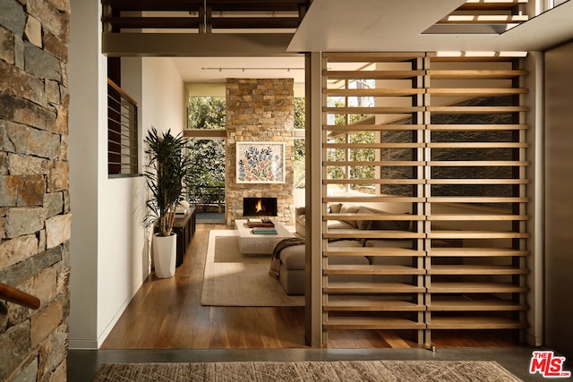 wine room with a stone fireplace and dark hardwood / wood-style flooring