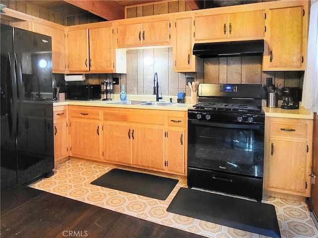 kitchen with backsplash, light hardwood / wood-style flooring, sink, and black appliances