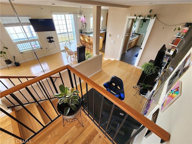 stairs featuring ceiling fan and wood-type flooring