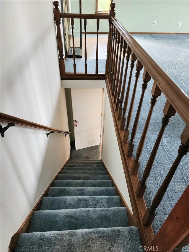 stairway featuring carpet floors