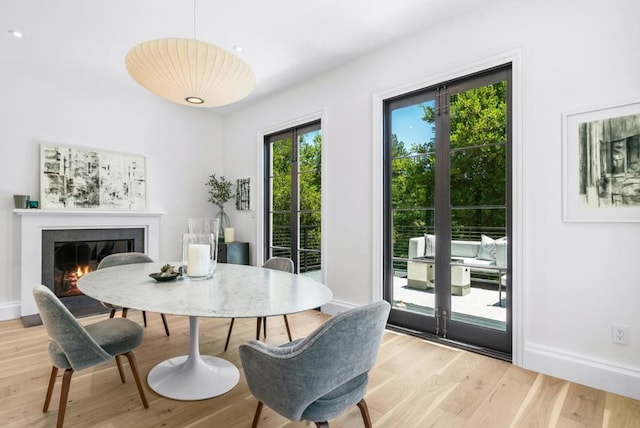 dining room with light hardwood / wood-style floors