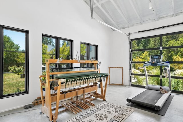 workout room featuring a high ceiling