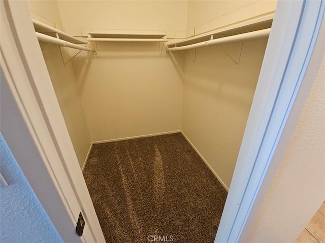 spacious closet with carpet floors