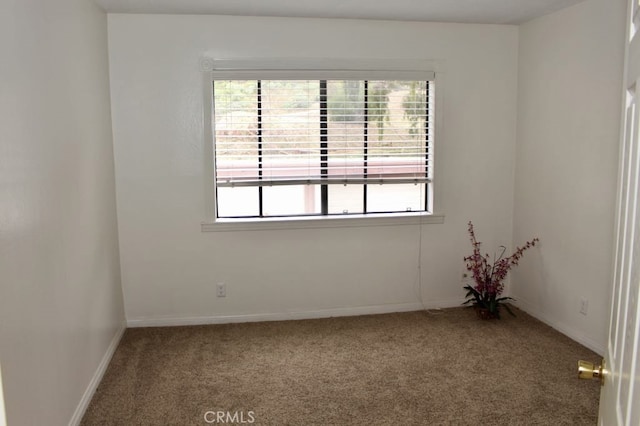 spare room with carpet flooring