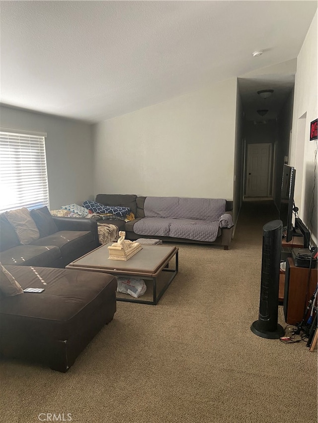 living room featuring dark carpet