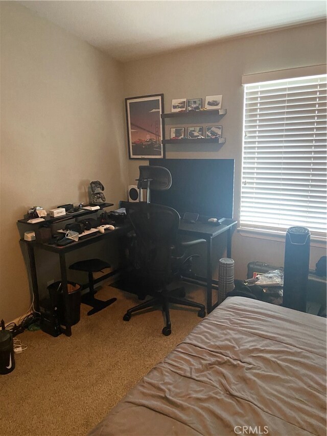 view of carpeted bedroom