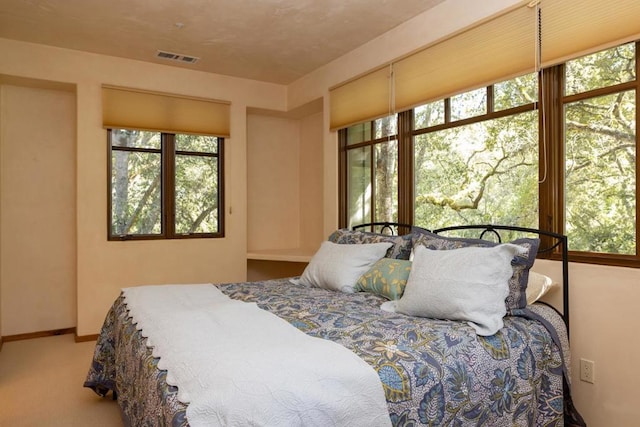 carpeted bedroom with multiple windows