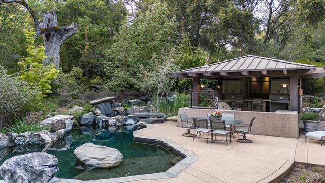 view of pool with a patio