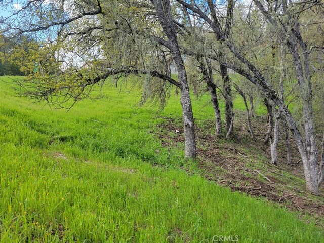 3120 E Beach Cir, Bradley, CA 93426 - photo 11