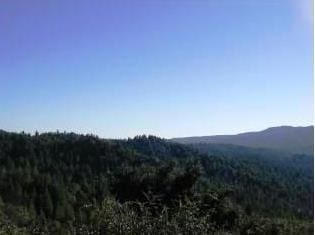 0 Logan Crk, Boulder Creek CA, 95006 land for sale