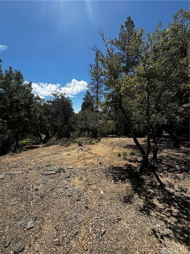 Listing photo 2 for 0 Valley View Dr, Idyllwild CA 92561