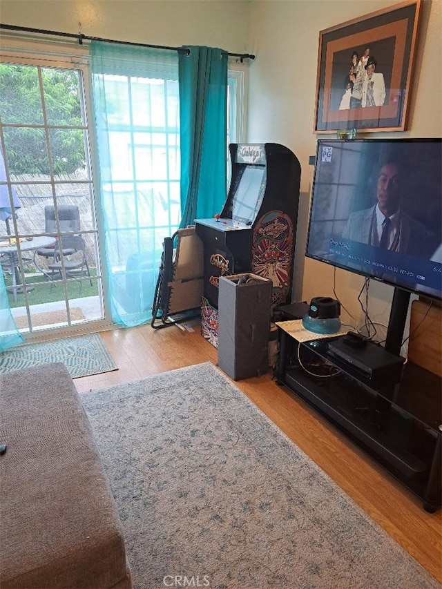 living area featuring wood-type flooring