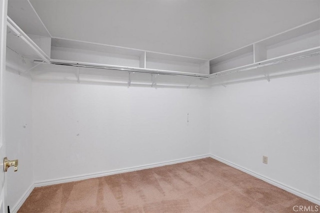 spacious closet with carpet flooring