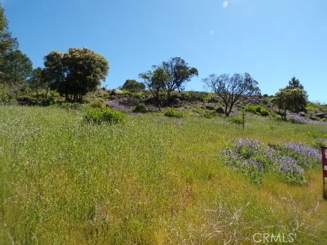 10450 Sunset Ridge Dr, Kelseyville CA, 95451 land for sale