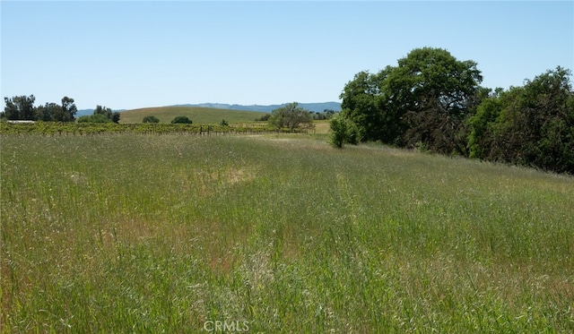 view of local wilderness featuring a rural view