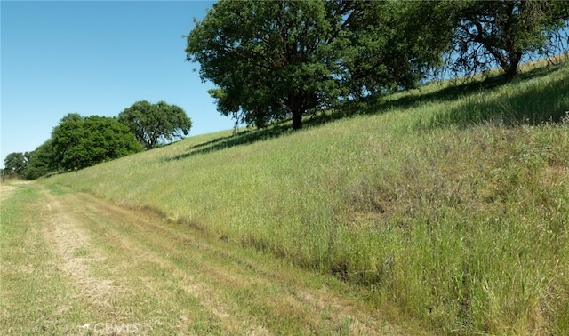 view of local wilderness with a rural view