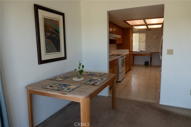 interior space featuring light colored carpet and electric stove