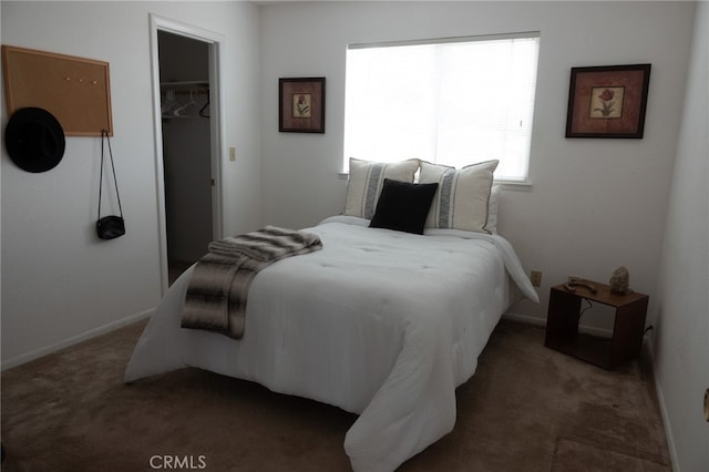 carpeted bedroom with a closet and a spacious closet