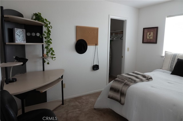 bedroom featuring a closet, a spacious closet, and dark carpet