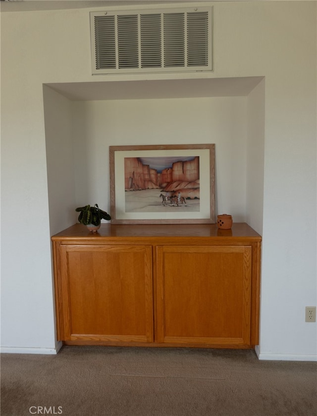 room details with carpet flooring