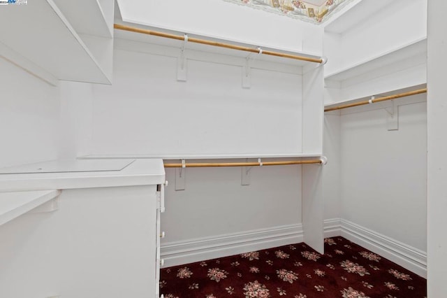 spacious closet with carpet