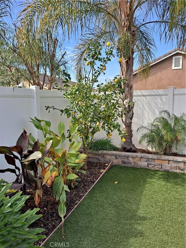 view of yard featuring a fenced backyard