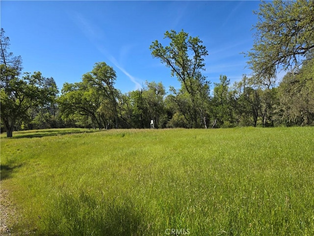 5860 Aluffo Rd, Paso Robles, CA 93446 - photo 10