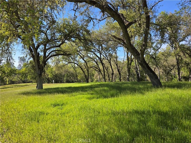 Listing photo 3 for 5860 Aluffo Rd, Paso Robles CA 93446