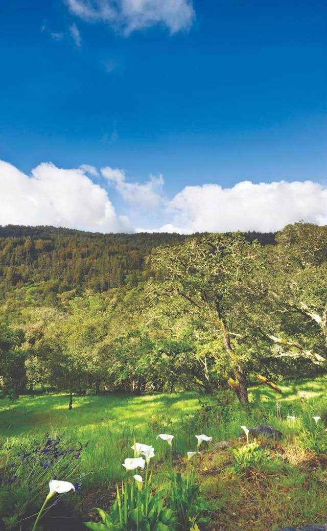 property view of mountains