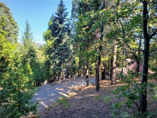 330 Castle Gate Rd, Lake Arrowhead CA, 92352 land for sale