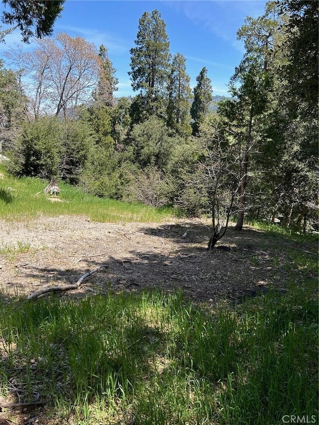 1039 Jungfrau Dr, Crestline CA, 92325 land for sale