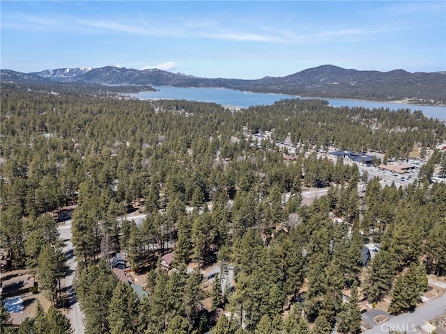 birds eye view of property featuring a water and mountain view