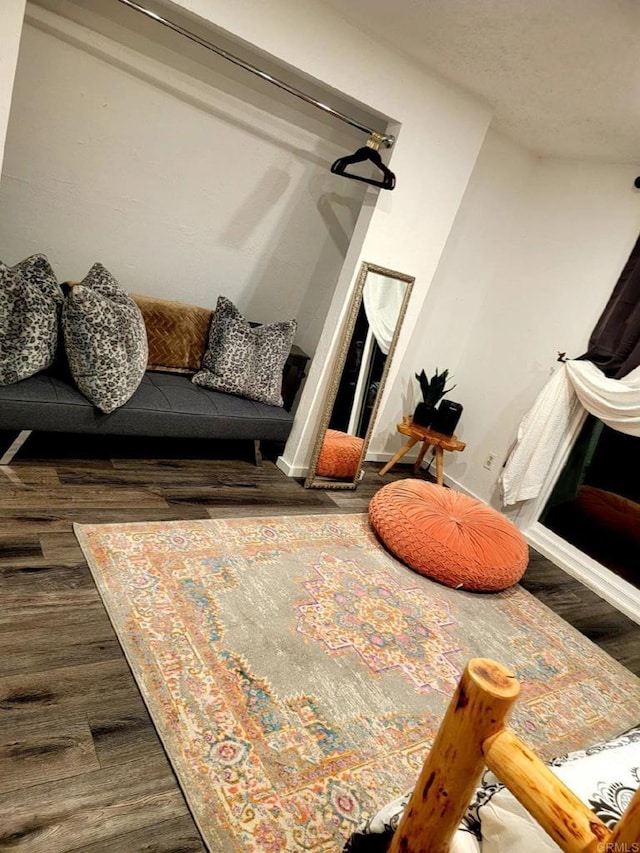 sitting room featuring dark hardwood / wood-style floors