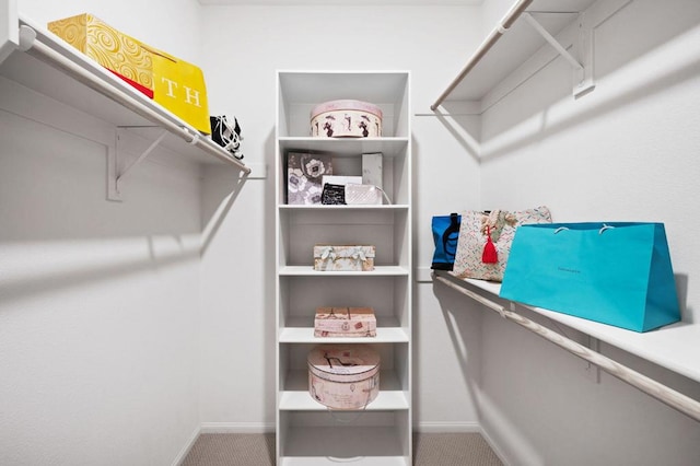 spacious closet with carpet flooring