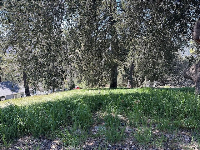 Listing photo 3 for 0 Elliot Rd, Cedarpines Park CA 92322