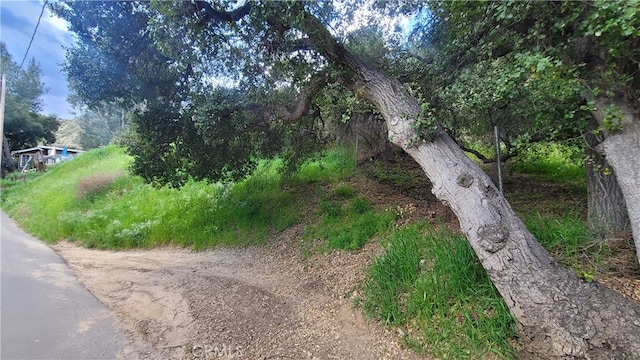 Listing photo 3 for 0 N Trail Rd, Sylmar CA 91342