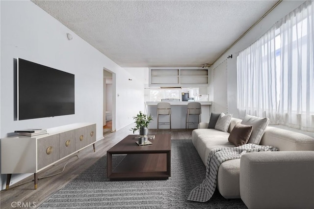 living room featuring hardwood / wood-style flooring and a textured ceiling